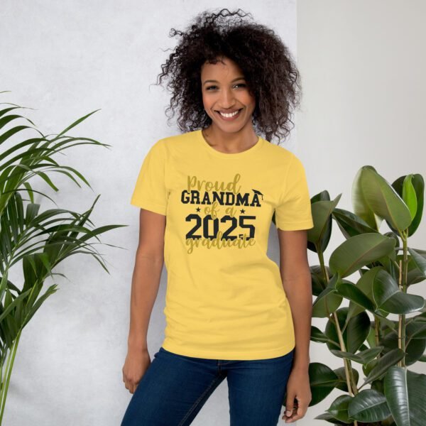 Grandma 2025 Joyful Tee-shirt in Heather Mint, Orange, Kelly, Pebble, Pink, Red, Tan, White, Yellow - Soft Lightweight Cotton - Seniors T-Shirts in Various Sizes - Image 25